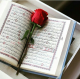 قرآن برای کسانی زندگی ساز است که عشق به حقیقت دارند